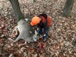 IMG_9179_compressed.jpg IMG_9179_compressed.jpg