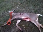IMG_4871.JPG IMG_4871.JPG