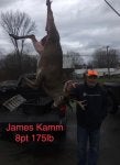 uncle jim deer.jpg uncle jim deer.jpg