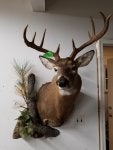 20180129_171619-2.jpg